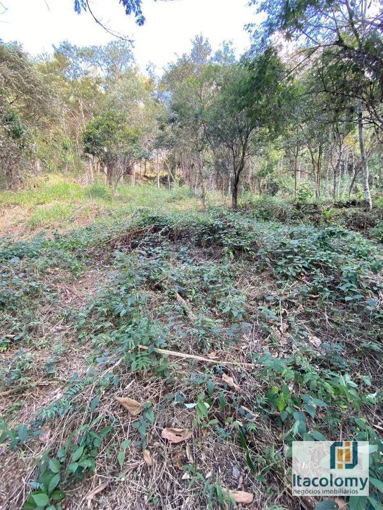 Loteamento e Condomínio à venda, 2767M2 - Foto 4