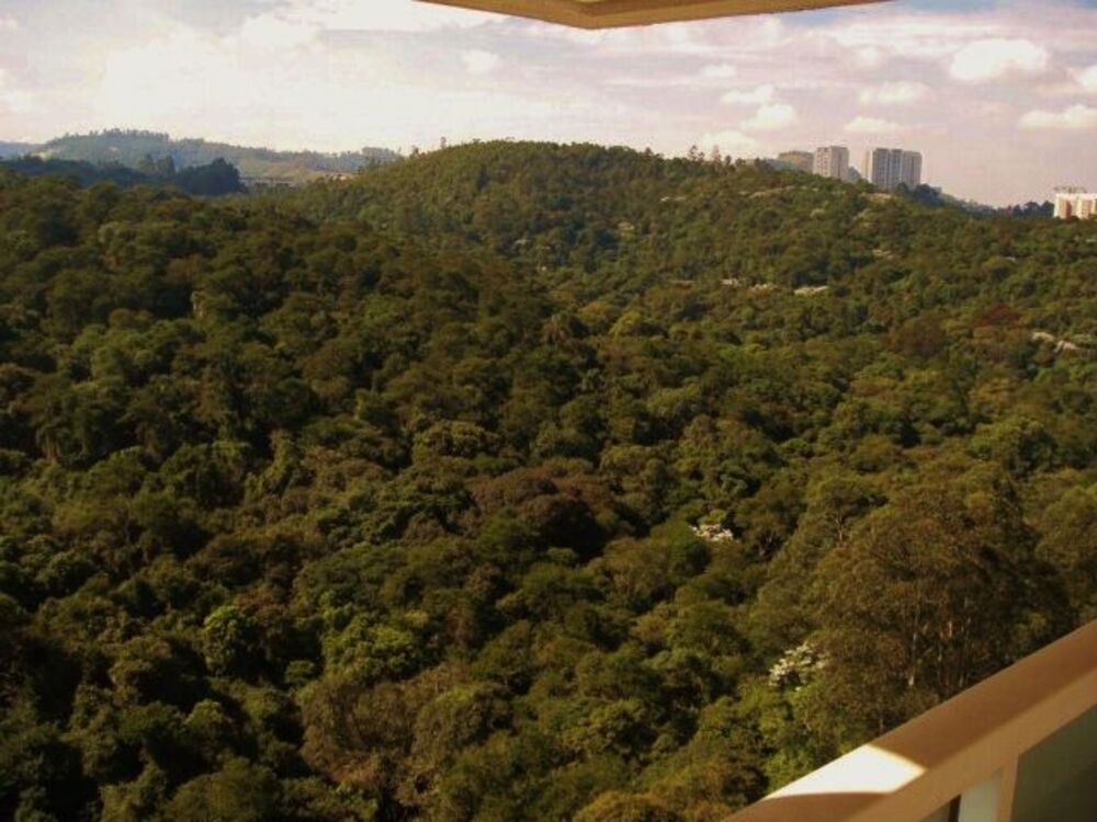 Apartamento, 4 quartos, 367 m² - Foto 30
