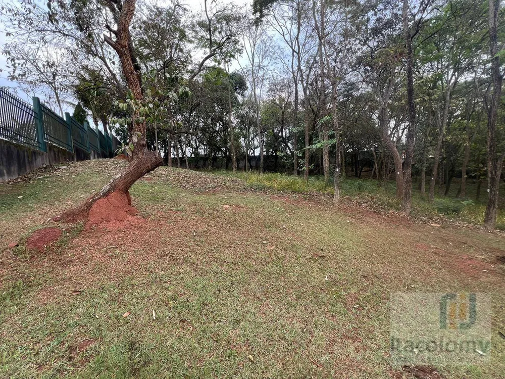Loteamento e Condomínio, 2642 m² - Foto 2