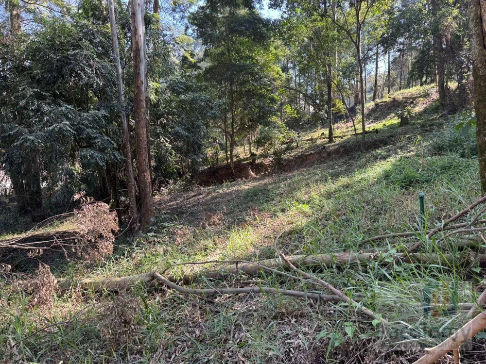 Loteamento e Condomínio, 5300 m² - Foto 2