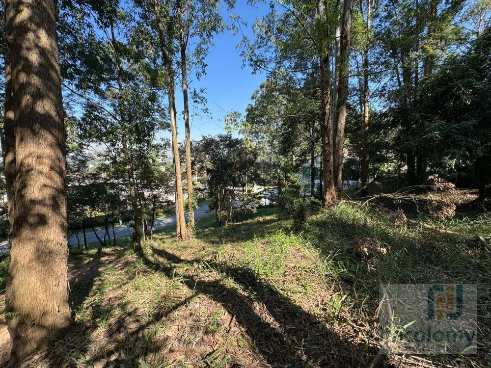 Loteamento e Condomínio, 5300 m² - Foto 4
