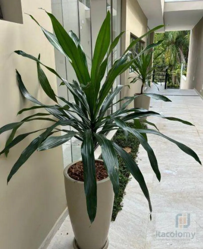 Casa, 5 quartos, 450 m² - Foto 11