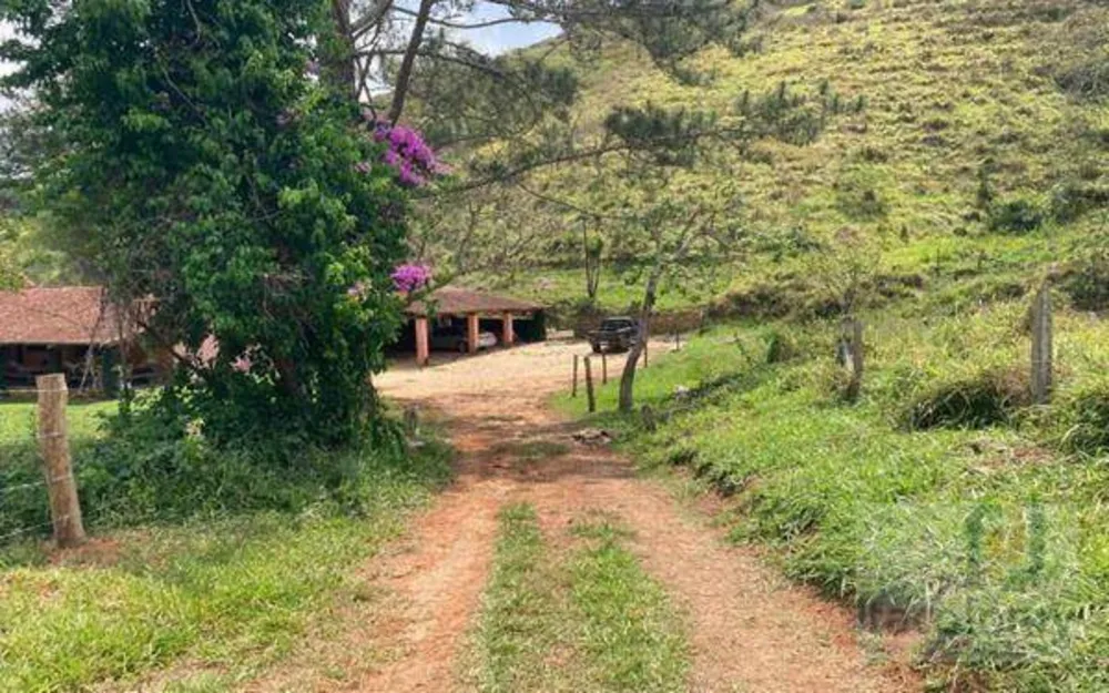 Fazenda, 219 hectares - Foto 1