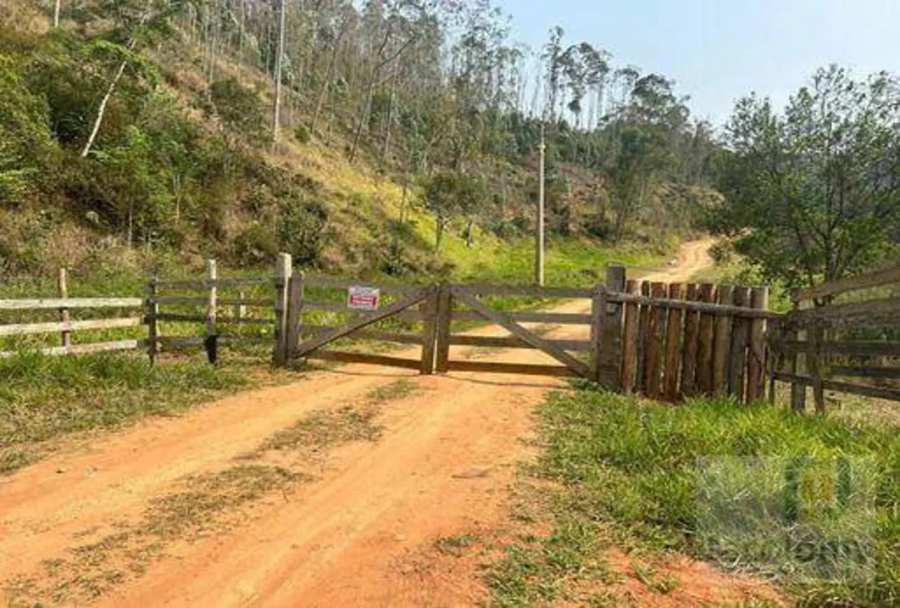 Fazenda, 219 hectares - Foto 10