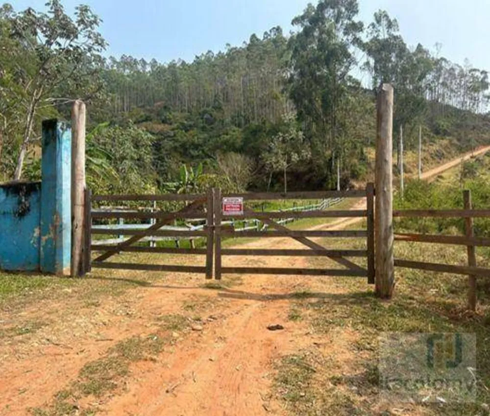 Fazenda, 219 hectares - Foto 11