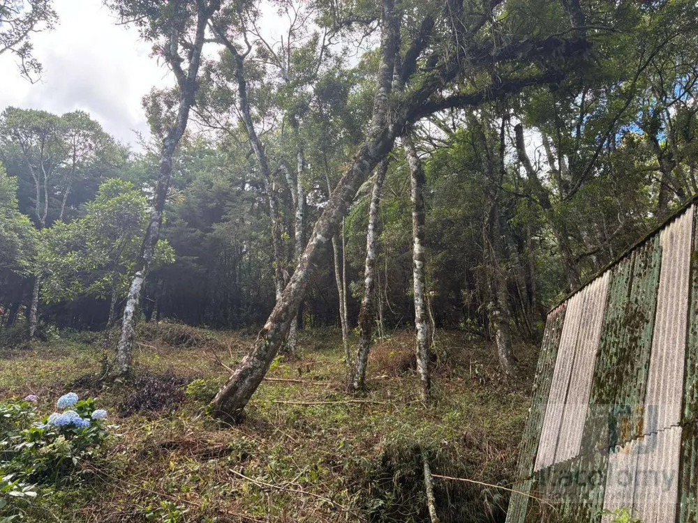 Terreno, 1046 m² - Foto 7