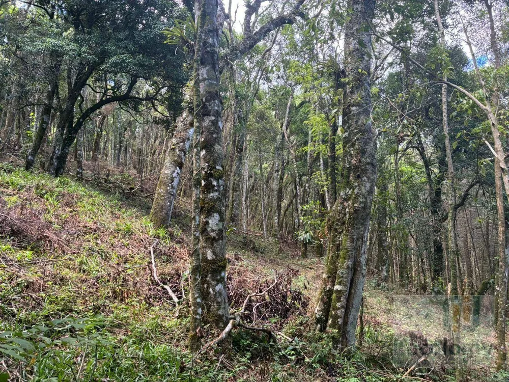 Terreno, 1046 m² - Foto 3