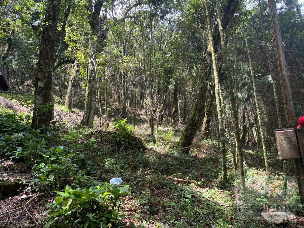 Terreno, 1046 m² - Foto 8