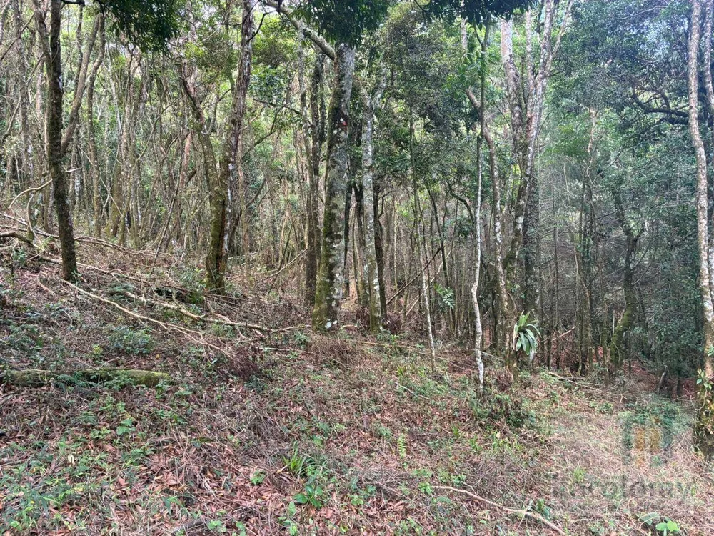 Terreno, 1046 m² - Foto 5