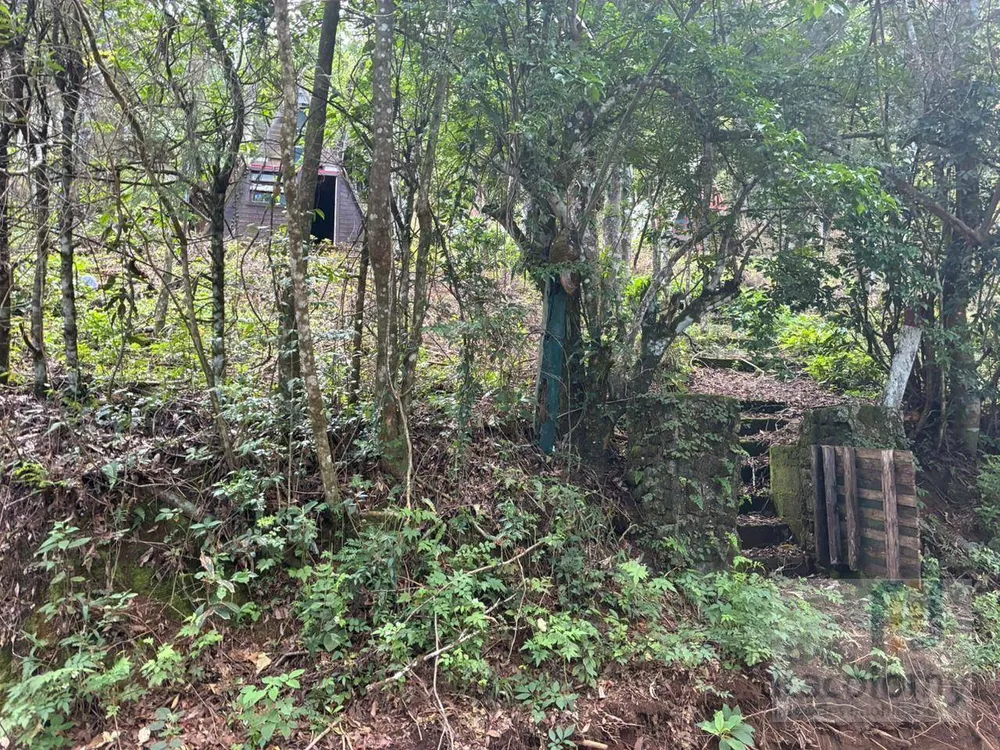 Terreno, 1046 m² - Foto 2