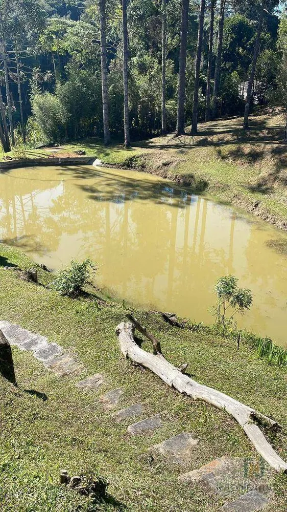 Chácara, 6 quartos, 34 hectares - Foto 6