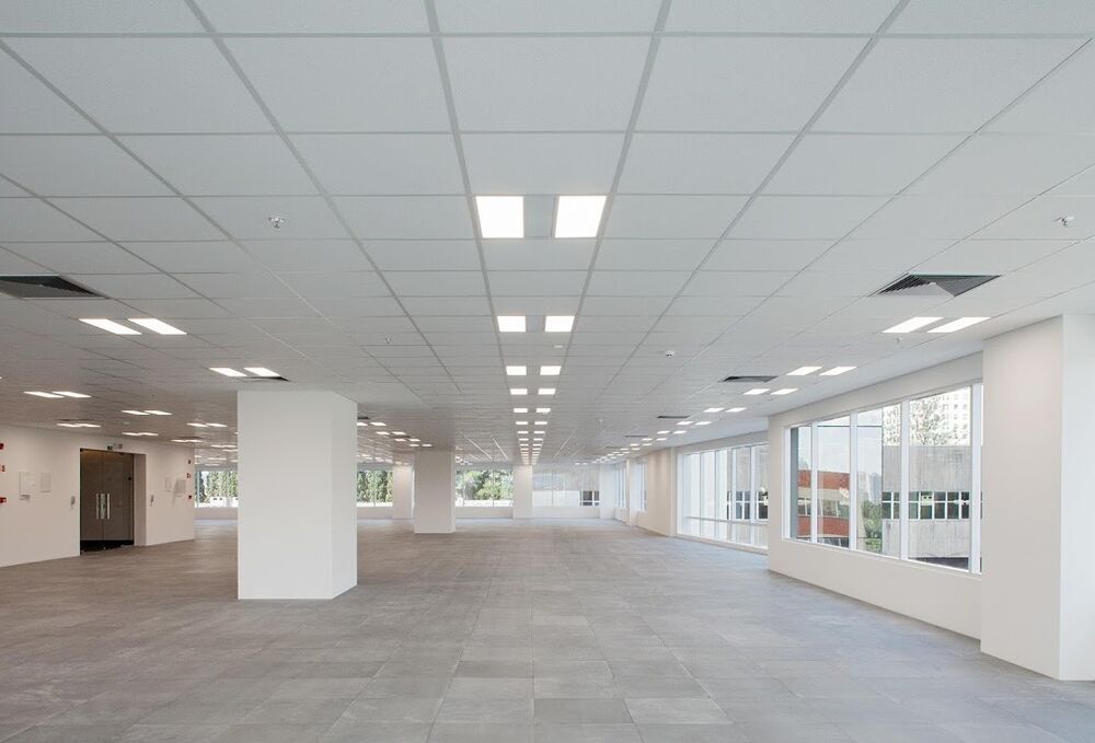 Sala-Conjunto, 2000 m² - Foto 4