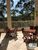 Apartamento, 4 quartos, 250 m² - Foto 56