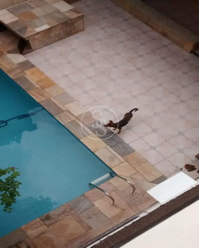 Sobrado, 5 quartos - Foto 12