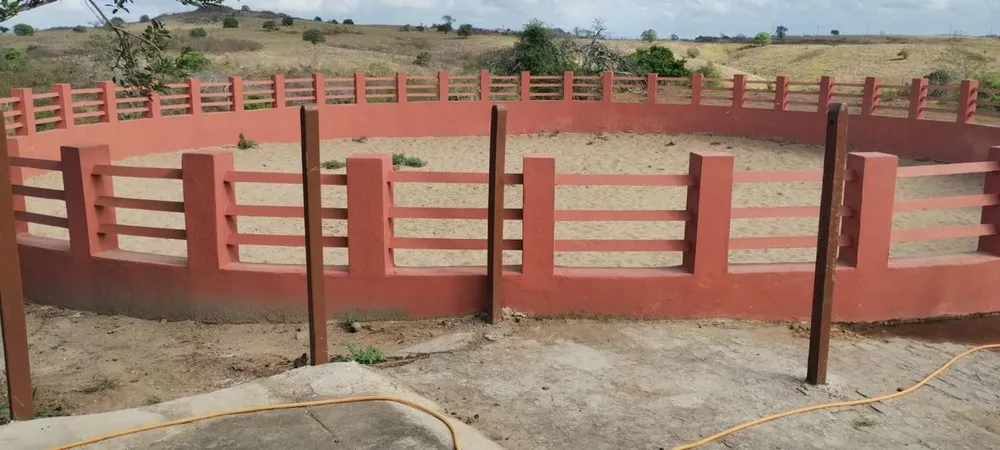 Fazenda, 181 hectares - Foto 6