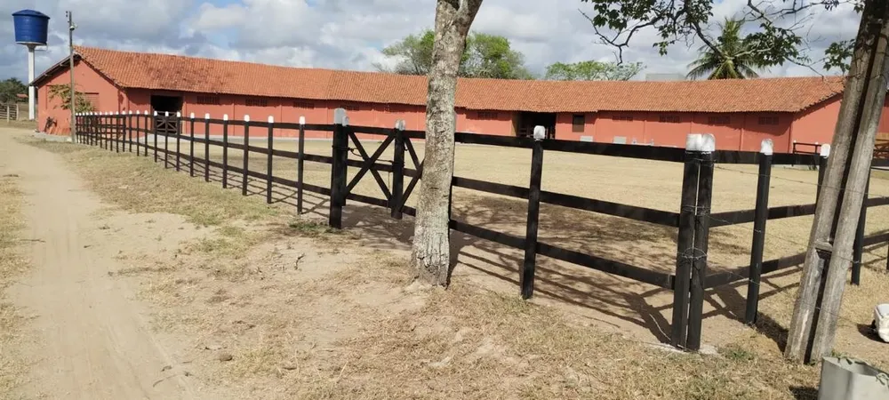 Fazenda, 181 hectares - Foto 3