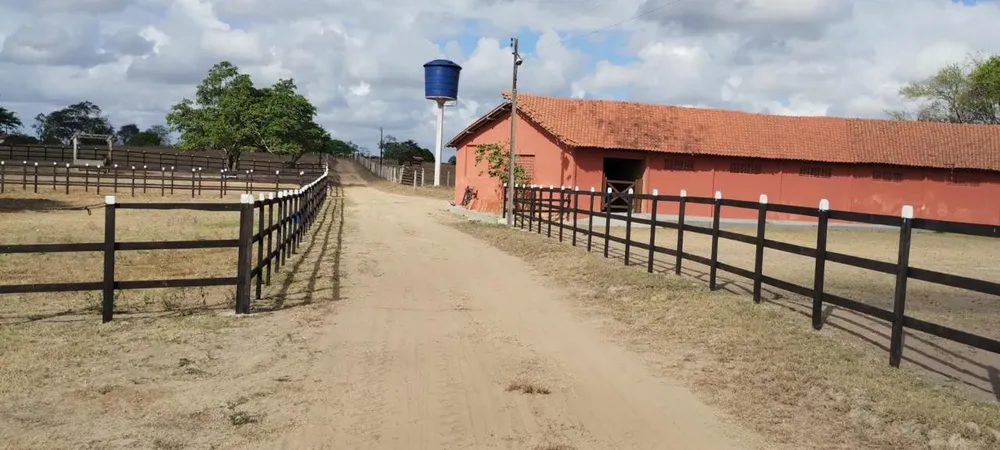 Fazenda, 181 hectares - Foto 12