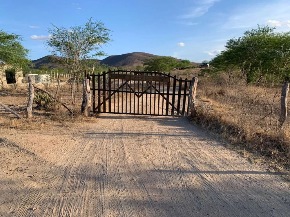 Terreno, 25 hectares - Foto 4