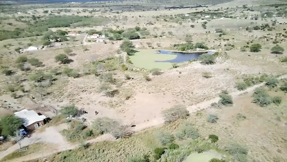 Terreno, 25 hectares - Foto 6