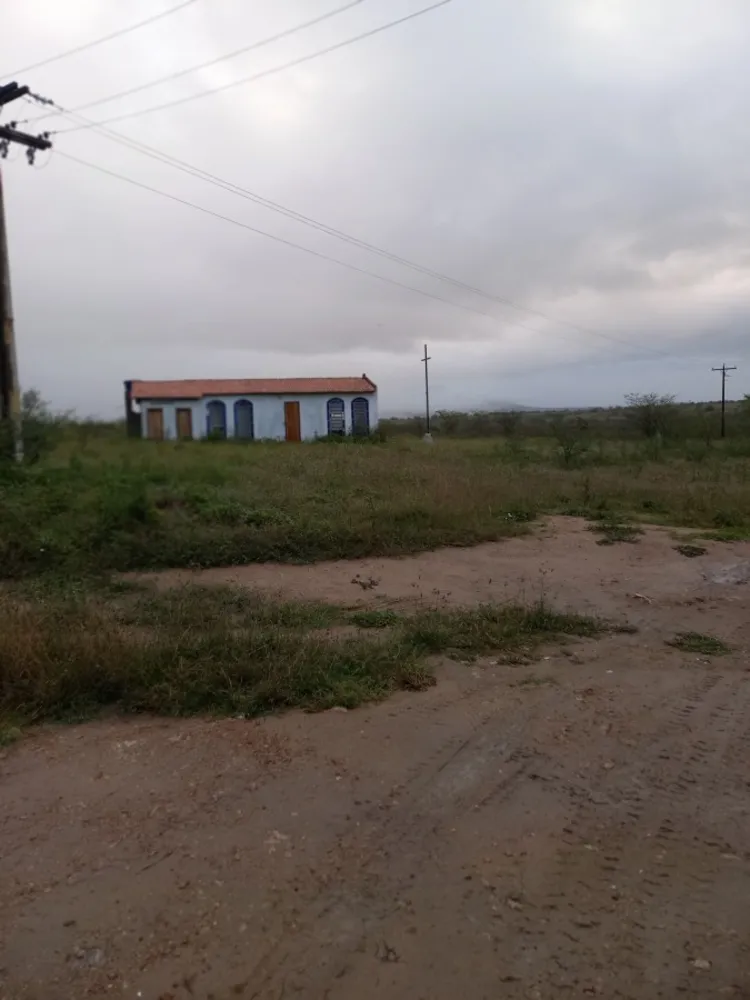 Terreno, 25 hectares - Foto 5