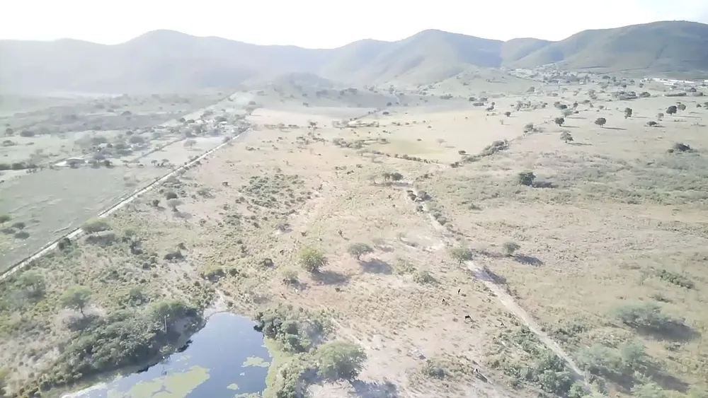 Terreno, 25 hectares - Foto 12