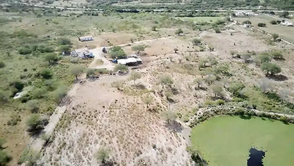 Terreno, 25 hectares - Foto 7