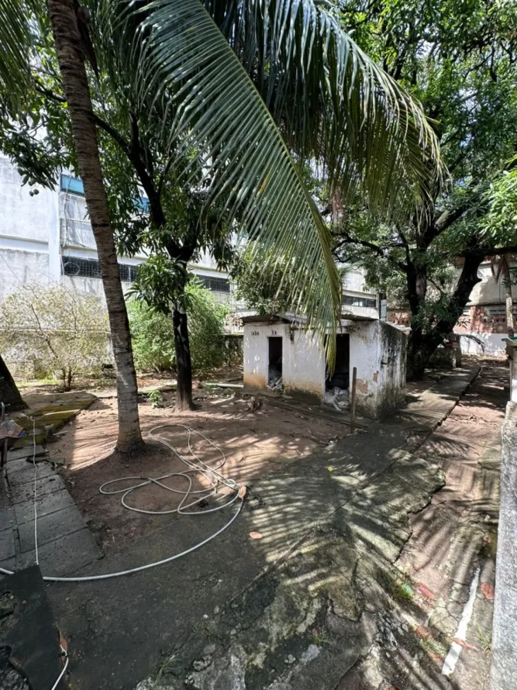 Terreno, 1356 m² - Foto 6
