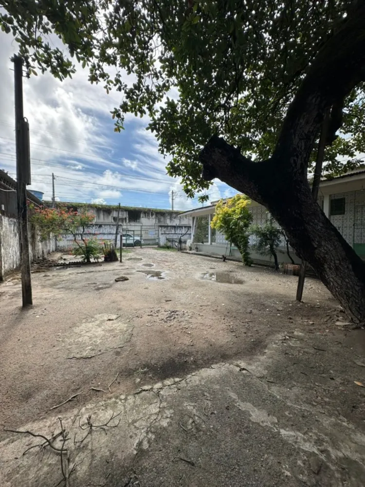 Terreno, 1356 m² - Foto 8
