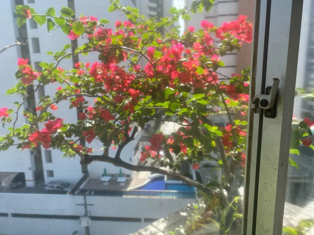 Apartamento, 3 quartos, 110 m² - Foto 11