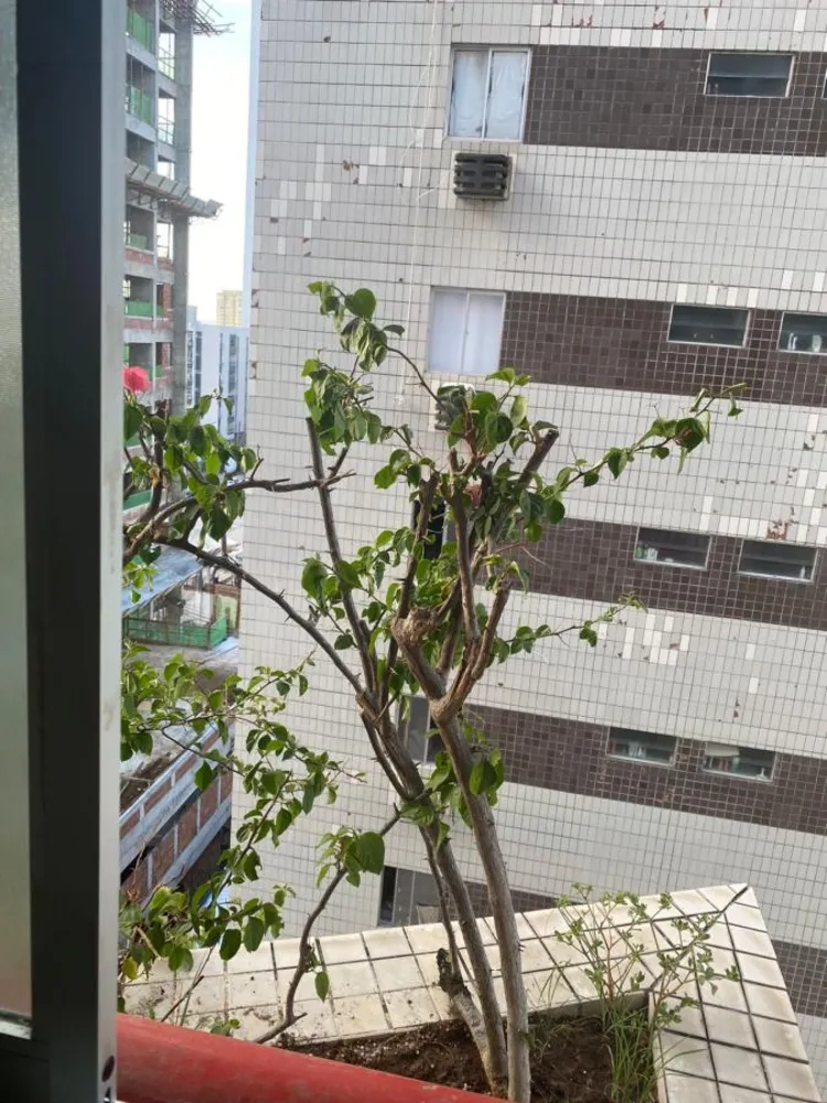 Apartamento, 3 quartos, 110 m² - Foto 8