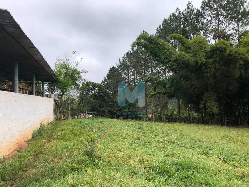 Sítio, 3 quartos, 21 hectares - Foto 4