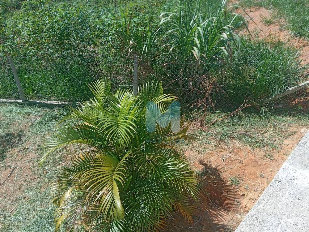 Chácara à venda com 3 quartos, 237m² - Foto 8