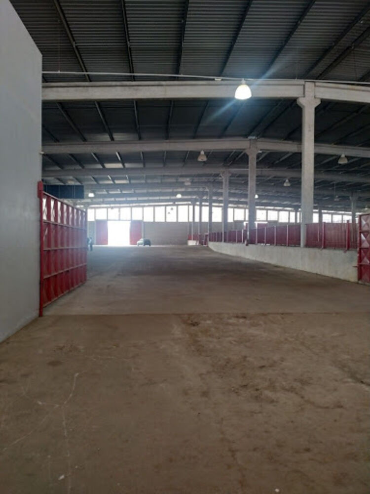 Depósito-Galpão, 7000 m² - Foto 2