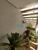 Sobrado, 3 quartos, 430 m² - Foto 4