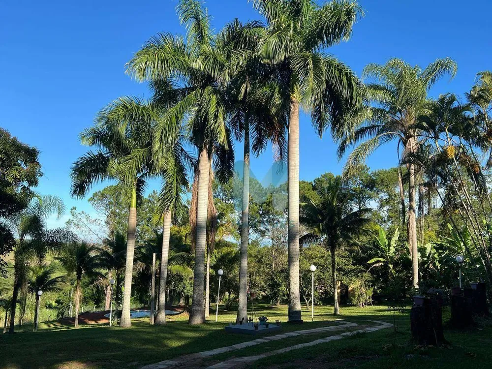 Chácara, 4 quartos, 8000 m² - Foto 1