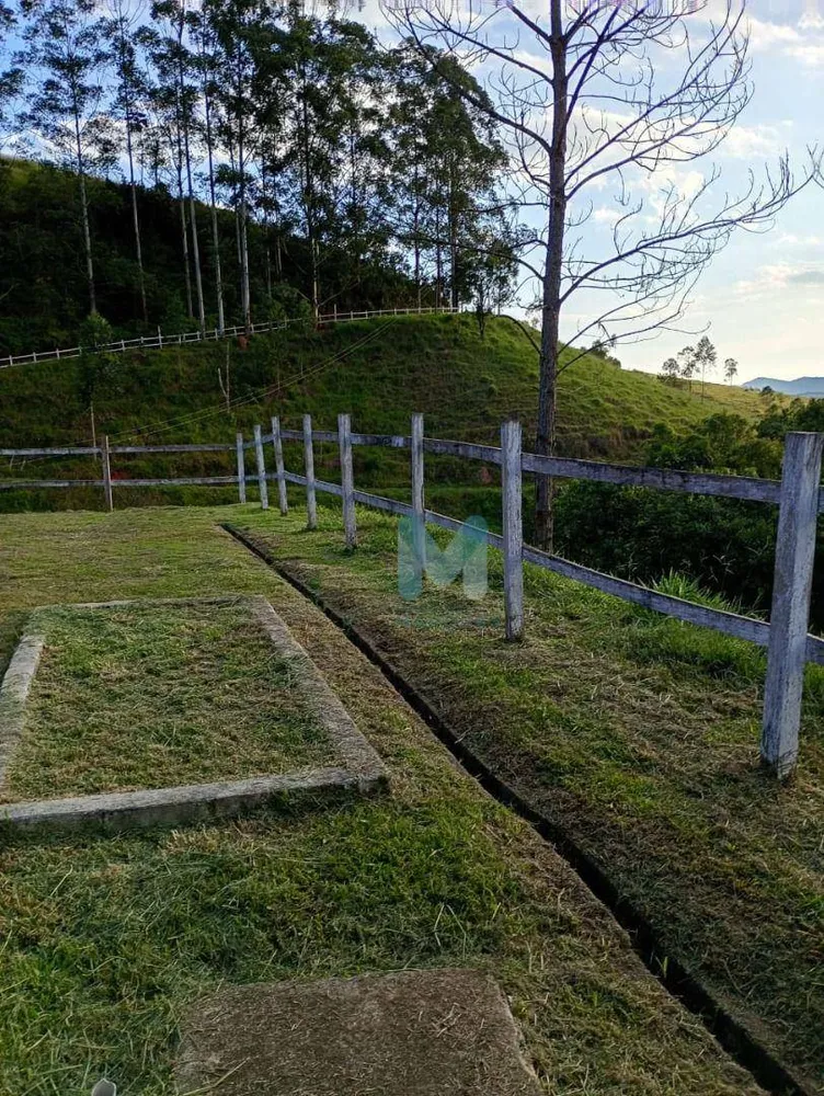 Sítio, 3 quartos, 73 hectares - Foto 1