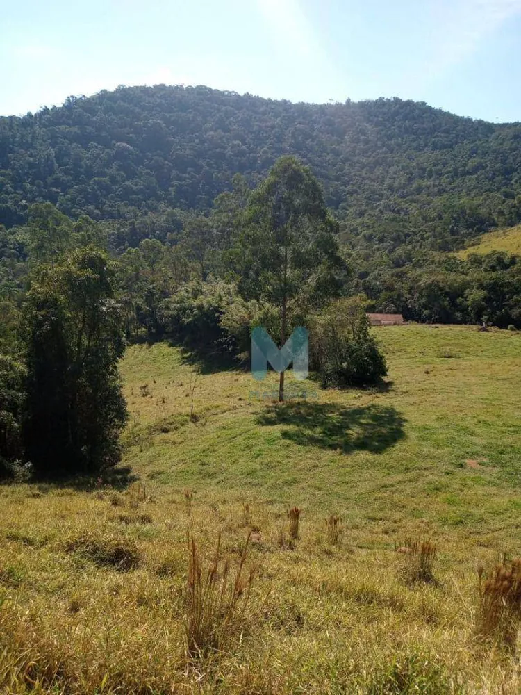 Sítio, 3 quartos, 73 hectares - Foto 4