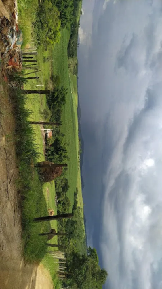 Sítio, 3 quartos, 72 hectares - Foto 4