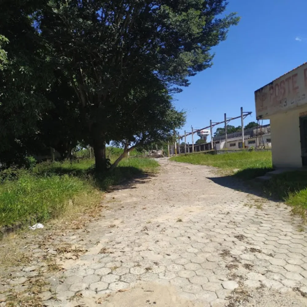 Terreno, 2 hectares - Foto 4