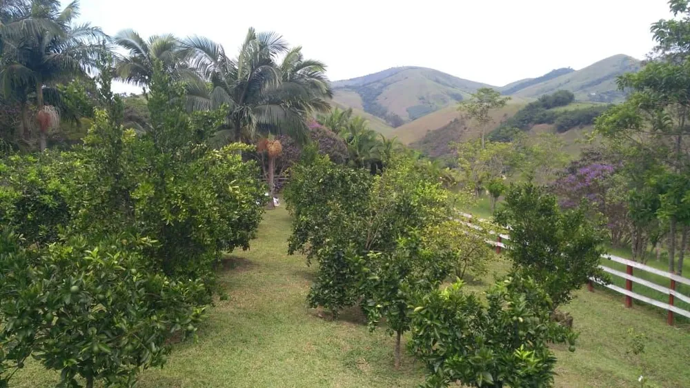 Sítio, 3 quartos, 29 hectares - Foto 3
