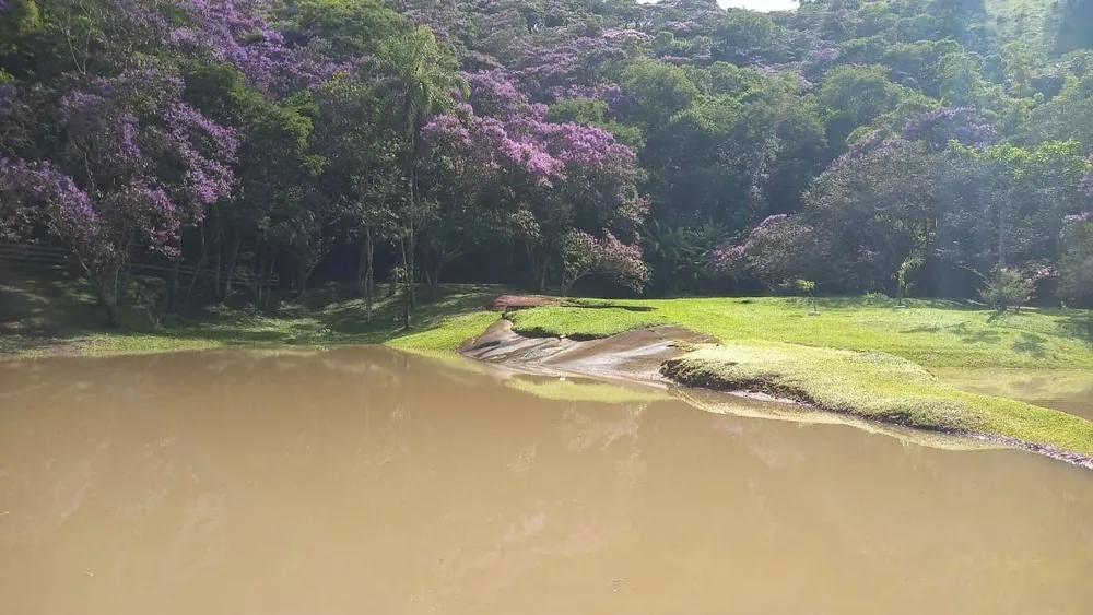 Sítio, 3 quartos, 29 hectares - Foto 1