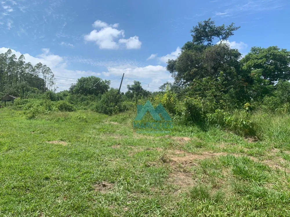 Terreno, 2 hectares - Foto 3