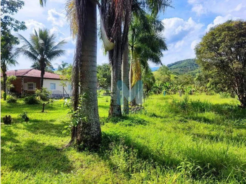 Sítio, 3 quartos, 1 hectares - Foto 4