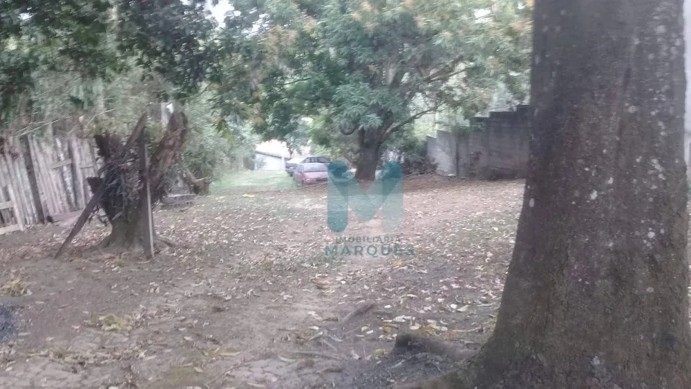 Chácara, 2 quartos, 1560 m² - Foto 3