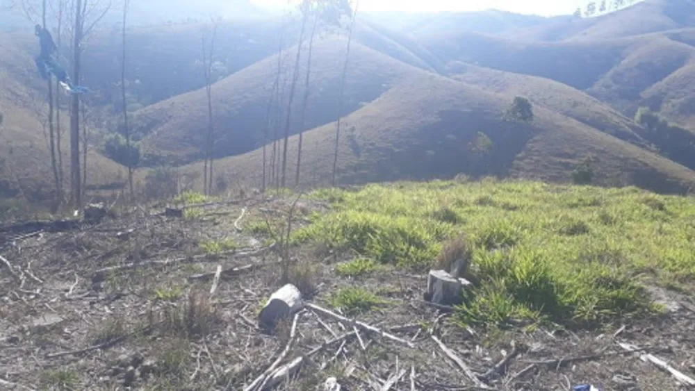 Terreno, 14 hectares - Foto 2
