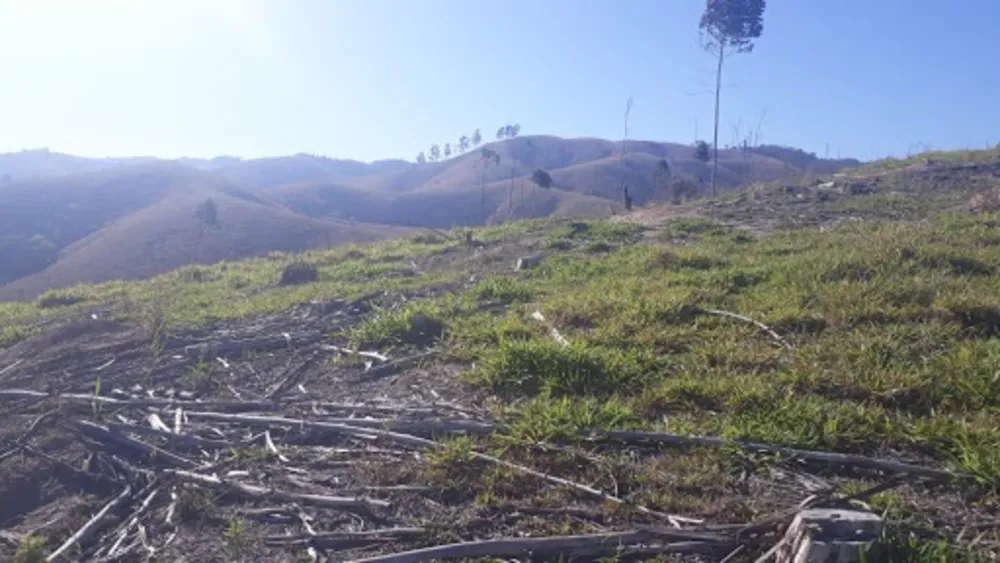 Terreno, 14 hectares - Foto 4