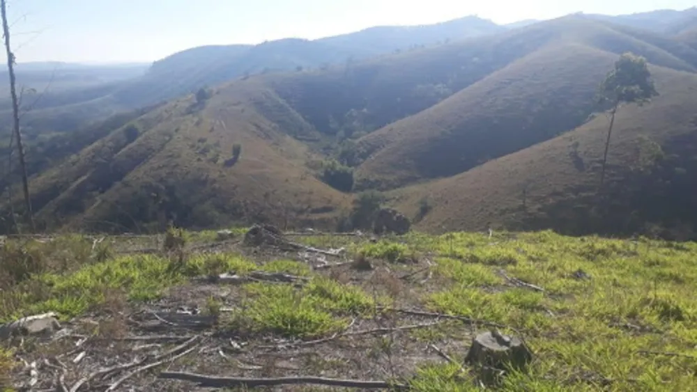 Terreno, 14 hectares - Foto 3
