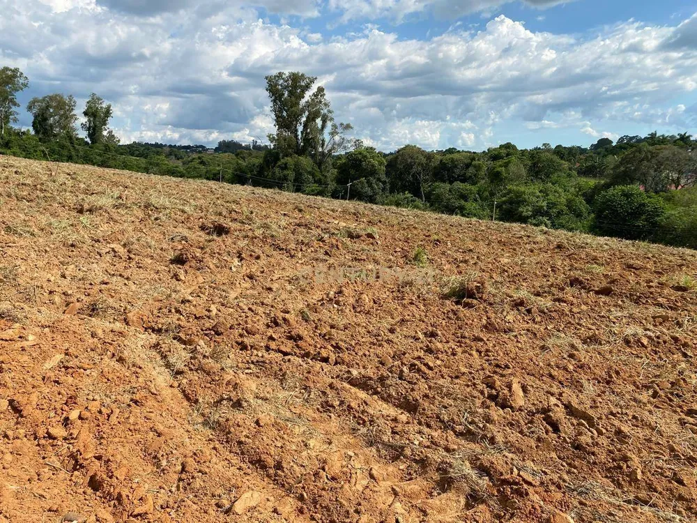 Terreno, 1 hectares - Foto 6