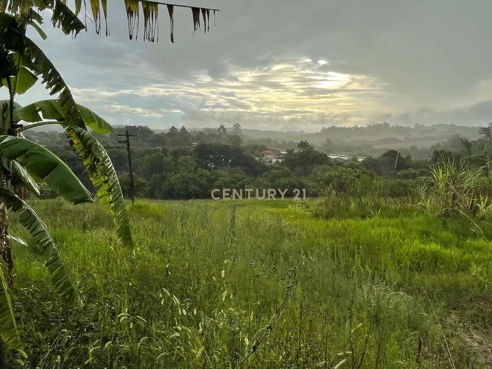Terreno, 1 hectares - Foto 3