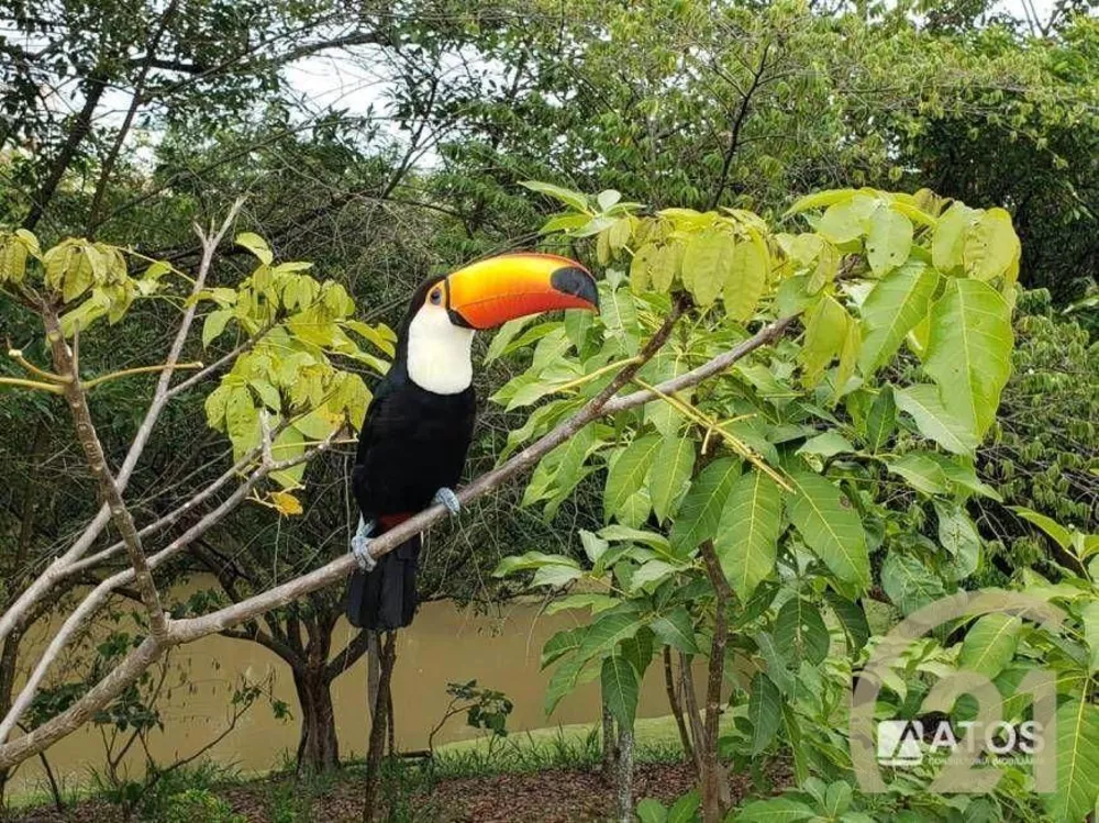 Loteamento e Condomínio à venda, 325M2 - Foto 7